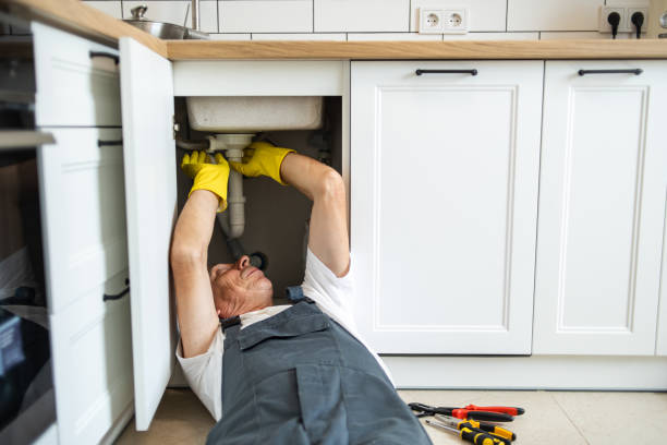 Best Sewer Line Repair  in Quincy, IL